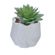 planta-decorativa-concepts-8x10-cm-eckohogar-1